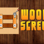 Nut Bolt Puzzle